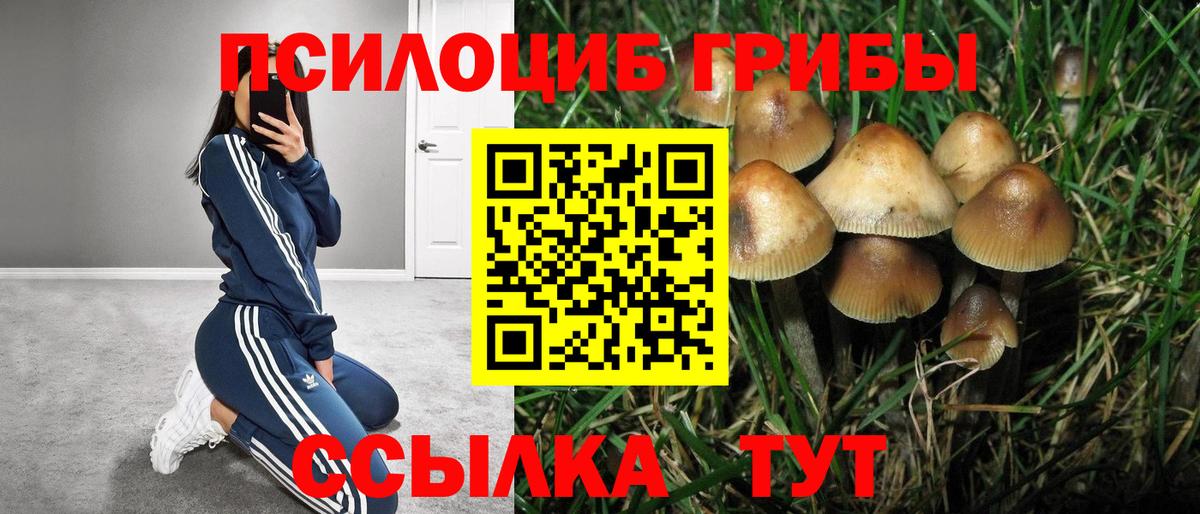 Псилоцибиновые грибы прущие грибы Добрянка